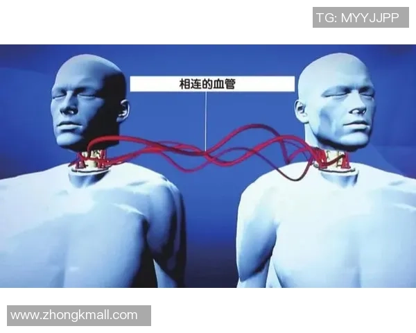 王磊专访揭秘英雄联盟成功背后的秘密与未来发展方向