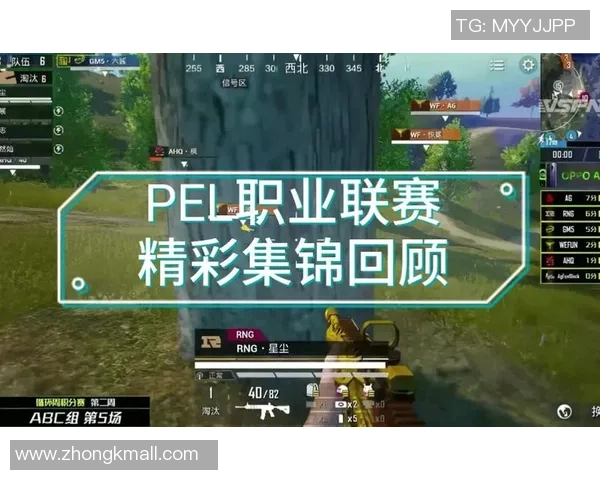 聚焦和平精英赛事RNG战队实力解析与未来展望
